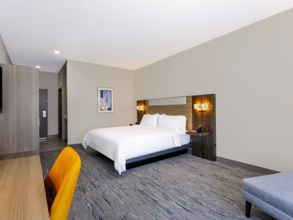 Holiday Inn Express & Suites Tampa Stadium - Airport Area, an IHG Hotel : photo 2 de la chambre chambre lit king-size standard