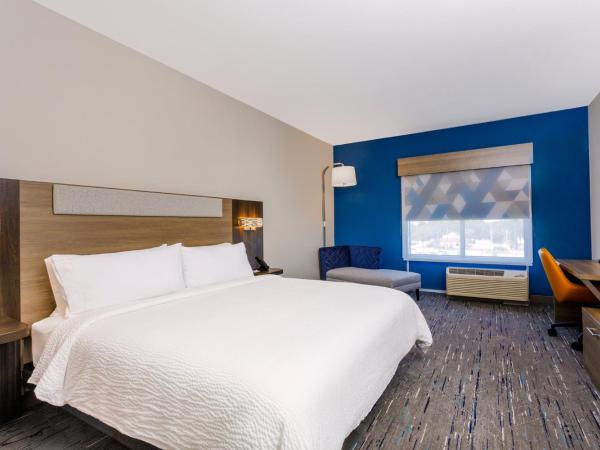 Holiday Inn Express & Suites Tampa Stadium - Airport Area, an IHG Hotel : photo 3 de la chambre chambre lit king-size standard