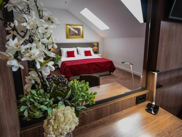 Hotel PARK 45 : photo 1 de la chambre grande chambre double ou lits jumeaux