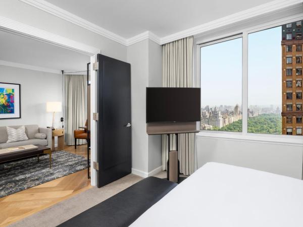 The Luxury Collection Hotel Manhattan Midtown : photo 4 de la chambre suite 1 chambre lit king-size - vue sur parc