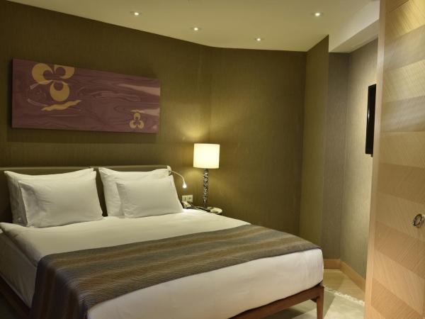 CVK Park Bosphorus Hotel Istanbul : photo 1 de la chambre studio park prestige suites