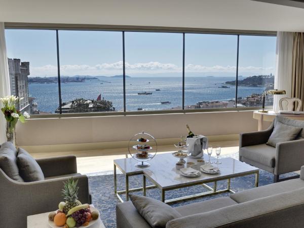 CVK Park Bosphorus Hotel Istanbul : photo 1 de la chambre suite park prestige suites lit king-size