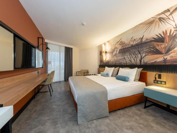 Best Western Plus Khan Hotel : photo 2 de la chambre chambre lit king-size deluxe - non-fumeurs 