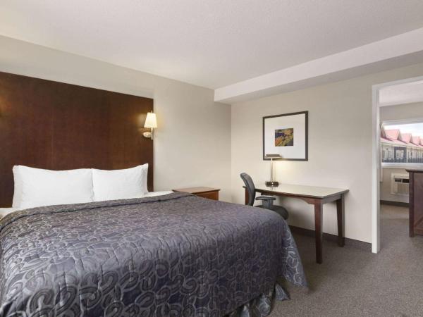 Thriftlodge Saskatoon : photo 2 de la chambre suite 1 chambre lit king-size - non-fumeurs