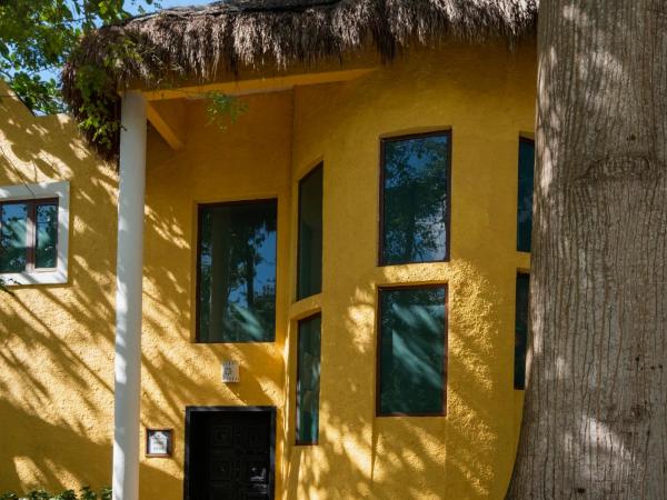 Iberostar Waves Cozumel - All Inclusive : photo 4 de la chambre chambre double