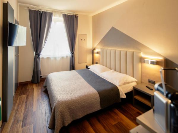 Albergo Mirador Ascona : photo 1 de la chambre chambre double