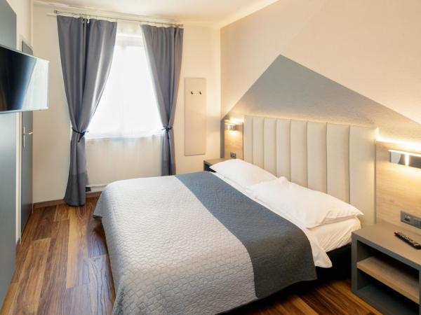 Albergo Mirador Ascona : photo 10 de la chambre chambre double