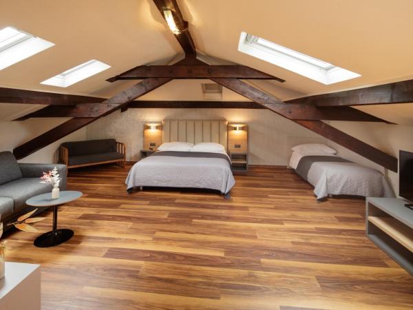 Albergo Mirador Ascona : photo 1 de la chambre suite junior