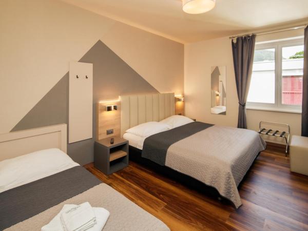 Albergo Mirador Ascona : photo 2 de la chambre chambre triple