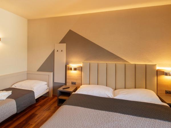 Albergo Mirador Ascona : photo 1 de la chambre chambre triple