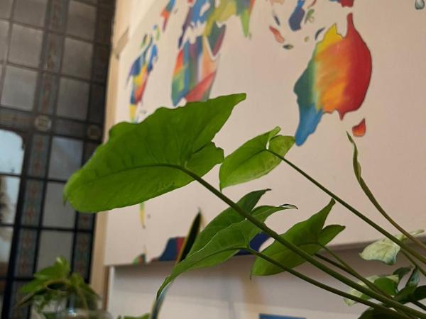 High Hostel Rosario : photo 4 de la chambre lit dans dortoir mixte de 6 lits