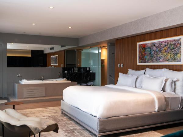 Pullman Sao Paulo Ibirapuera : photo 1 de la chambre pullman queen suite by trousseau with view