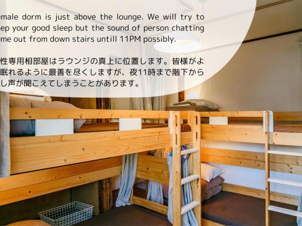 1166 Backpackers : photo 3 de la chambre lit superposé dans dortoir pour femmes