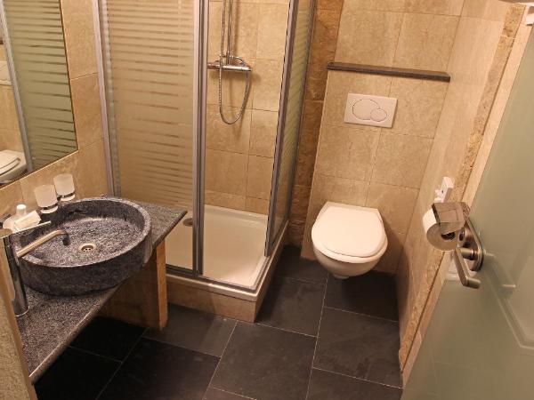 Alp Art Hotel Götzens : photo 3 de la chambre chambre simple