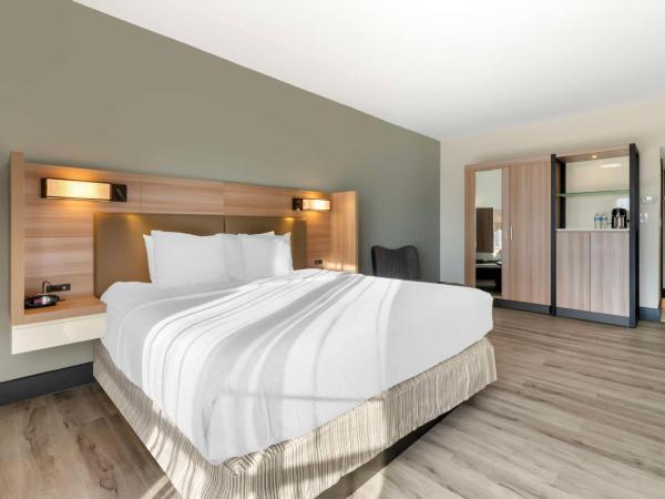 Best Western Plus Atlanta Airport East : photo 3 de la chambre chambre lit king-size - non-fumeurs