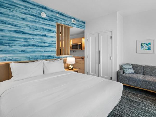 TownePlace Suites Jacksonville Airport : photo 4 de la chambre studio lit king-size avec canapé-lit