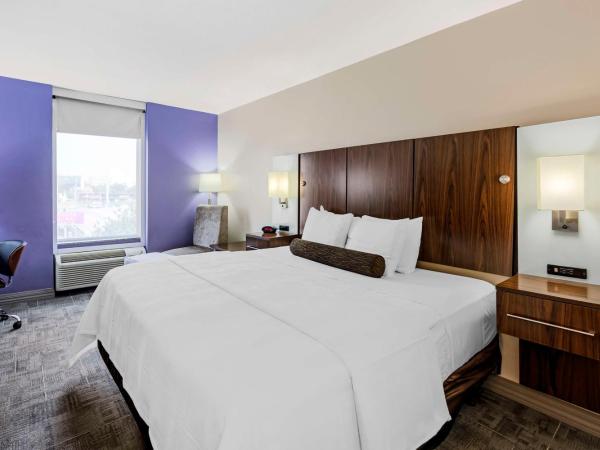 Best Western Plus Gen X Inn : photo 1 de la chambre chambre lit king-size avec baignoire - adaptée aux personnes à mobilité réduite