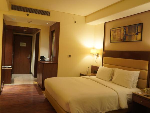 DoubleTree by Hilton Agra : photo 4 de la chambre chambre lit king-size - vue sur ville