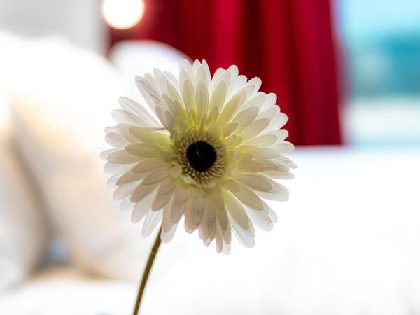 Il Panoramico Rooms : photo 5 de la chambre chambre double avec balcon