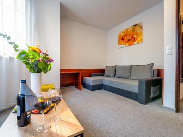 Malachit Karpacz SPA Hotel : photo 2 de la chambre studio