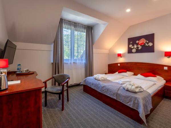 Malachit Karpacz SPA Hotel : photo 3 de la chambre studio