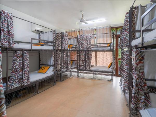 Hide-In Hostel Delhi : photo 1 de la chambre lit simple dans dortoir mixte de 12 lits