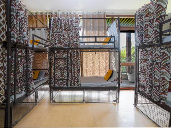 Hide-In Hostel Delhi : photo 3 de la chambre lit simple dans dortoir mixte de 12 lits