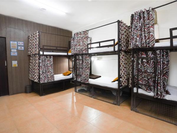 Hide-In Hostel Delhi : photo 7 de la chambre lit simple dans dortoir mixte de 12 lits