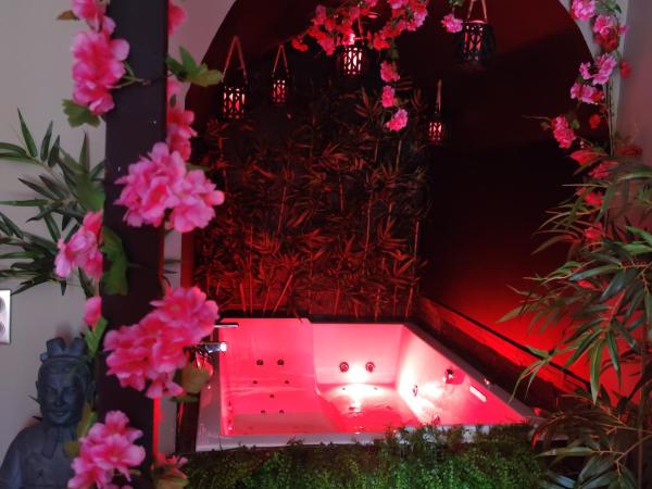 la demeure de POULPICAN Chambre SAKURA jacuzzi charme romantique terrasse privée 300m plage et restaurants La Croix Valmer - Golfe Saint Tropez : photo 6 de la chambre appartement - vue sur jardin