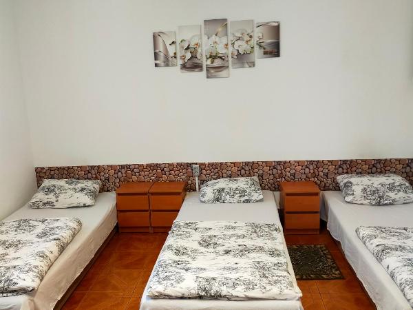Hostel Madeira : photo 1 de la chambre lit simple dans dortoir de 4 lits