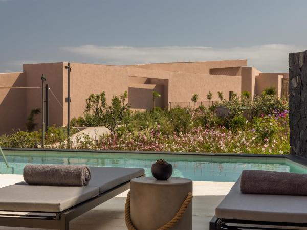 Domes Novos Santorini, Autograph Collection : photo 5 de la chambre anesis bungalow with zen pool