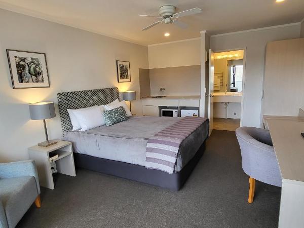 Manukau Motor Lodge : photo 1 de la chambre studio double
