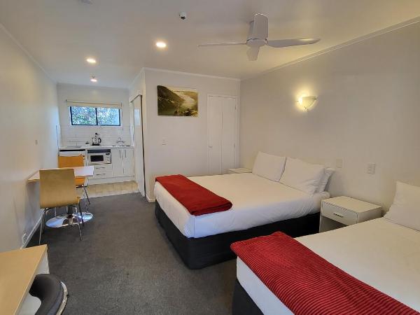 Manukau Motor Lodge : photo 1 de la chambre studio lits jumeaux