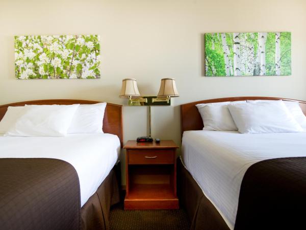 Riviera Motor Inn : photo 3 de la chambre chambre avec 2 grands lits queen-size 