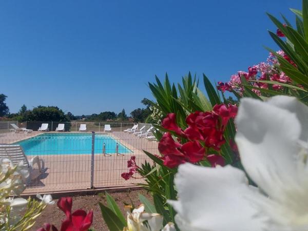 Residence Riviera : photo 1 de la chambre mini-villa (4 adultes)