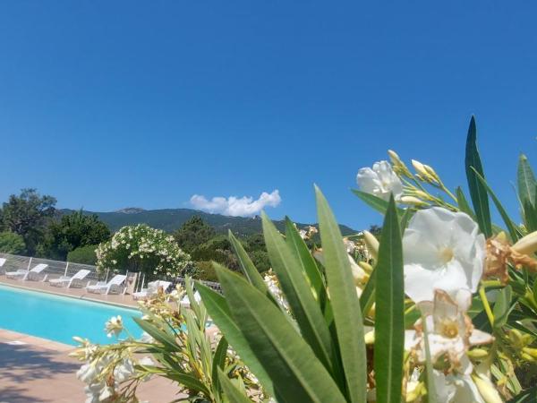 Residence Riviera : photo 2 de la chambre mini-villa (2 adultes)