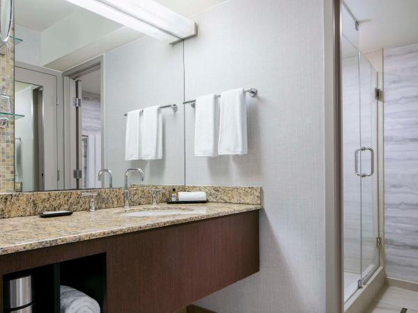 Hyatt Regency DFW International Airport : photo 3 de la chambre chambre lit king-size