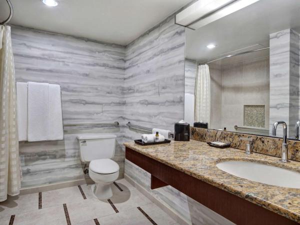 Hyatt Regency DFW International Airport : photo 4 de la chambre chambre avec 2 lits queen-size et douche accessible aux personnes à mobilité réduite