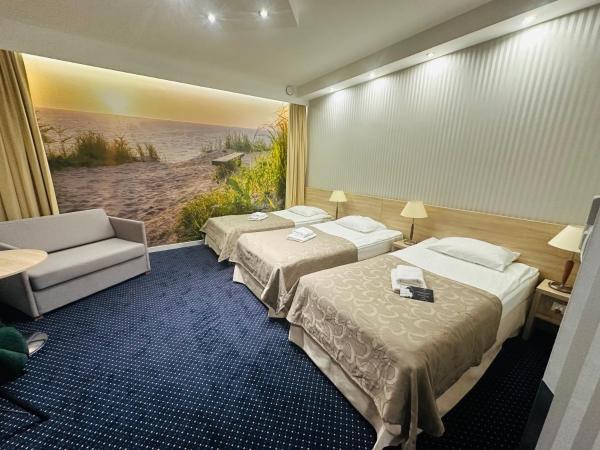 Miejsca noclegowe w Arka Medical SPA : photo 1 de la chambre double room without window