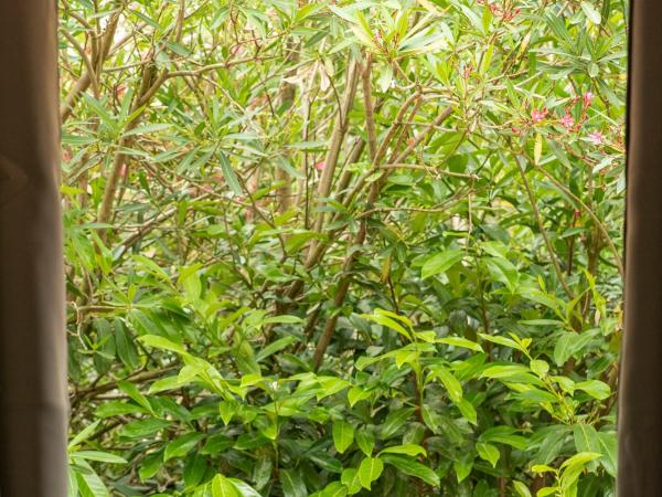 Growth House : photo 3 de la chambre chambre double deluxe avec douche