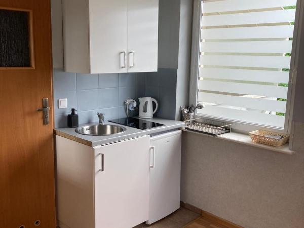 Stacja Sopot Pokoje do wynajęcia : photo 4 de la chambre appartement 1 chambre de luxe - vue sur jardin