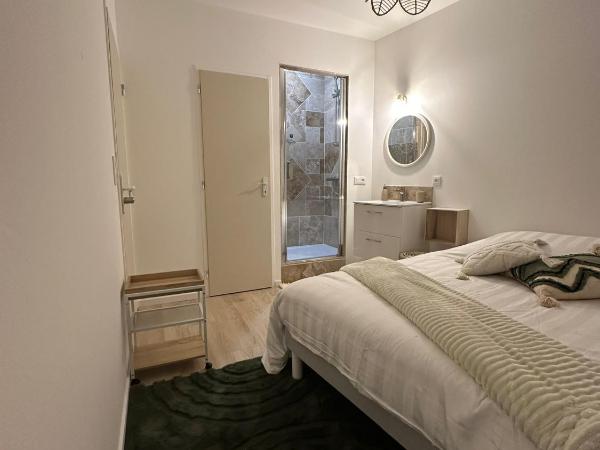 Maison des ambans chambres d'hotes hypercentre 200m de la gare et petit dejeuner inclus : photo 4 de la chambre chambre double deluxe avec douche