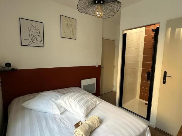 Maison des ambans chambres d'hotes hypercentre 200m de la gare et petit dejeuner inclus : photo 2 de la chambre chambre simple standard