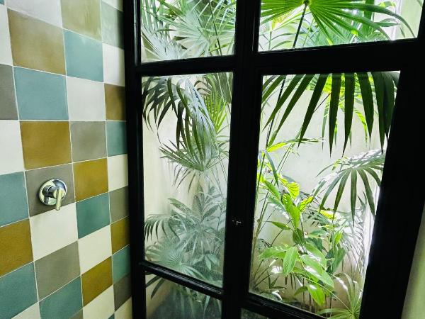Casa Sirena - oasis en el centro histórico : photo 1 de la chambre villa - vue sur jardin