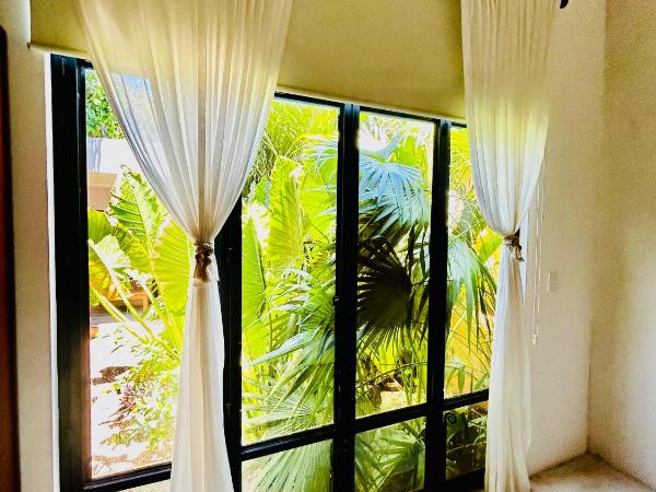 Casa Sirena - oasis en el centro histórico : photo 2 de la chambre villa - vue sur jardin