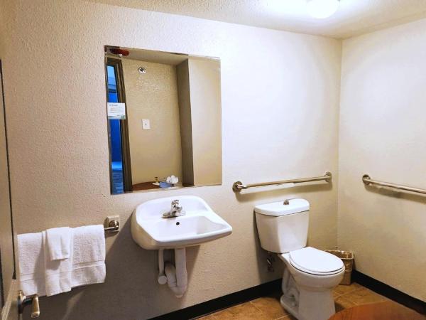 Days Inn by Wyndham Denver Downtown : photo 1 de la chambre chambre lit king-size - accessible aux personnes à mobilité réduite - non-fumeurs 