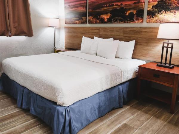 Days Inn by Wyndham Denver Downtown : photo 4 de la chambre chambre lit king-size - non-fumeurs