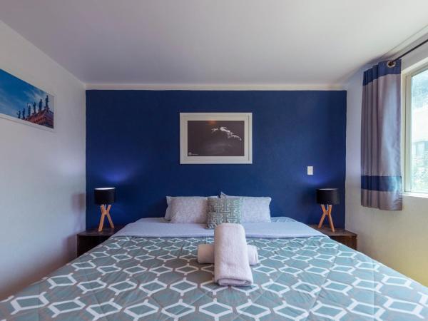 Casa Hidalgo En El Corazón de Coyoacán : photo 3 de la chambre chambre lit king-size deluxe