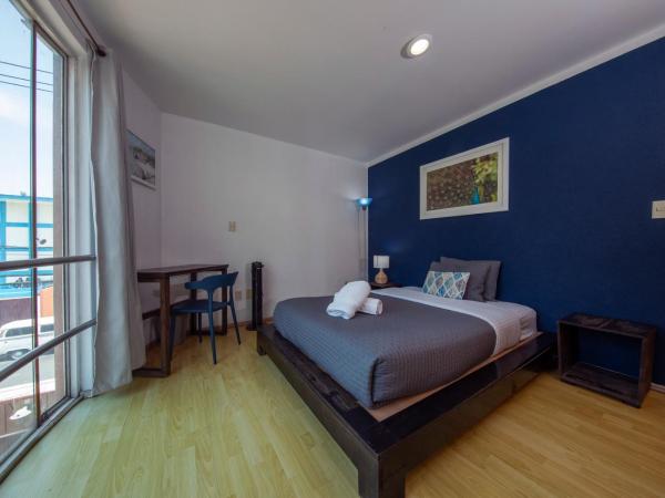 Casa Hidalgo En El Corazón de Coyoacán : photo 9 de la chambre chambre double - vue sur jardin