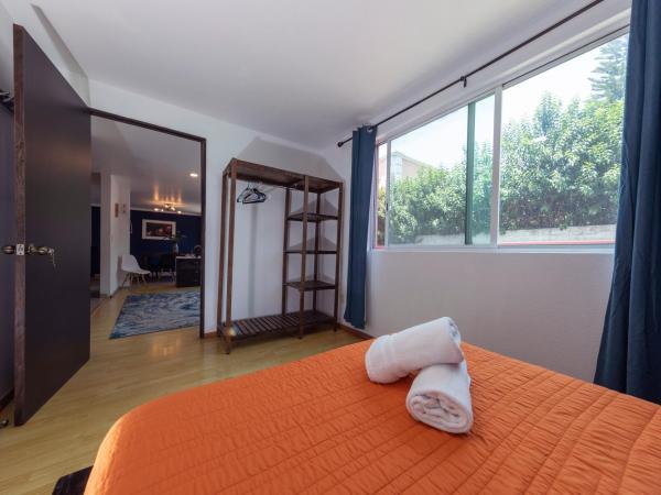 Casa Hidalgo En El Corazón de Coyoacán : photo 5 de la chambre chambre double - vue sur jardin